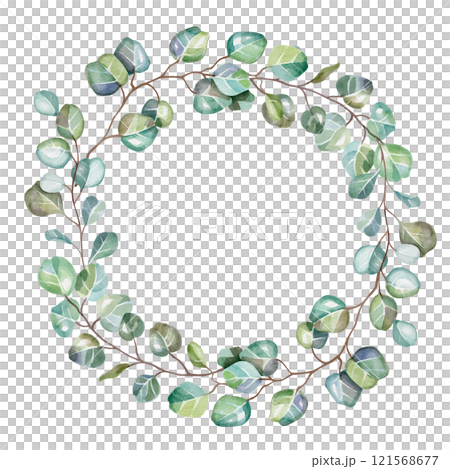 Eucalyptus wreath. Airy watercolor illustration. Ideal for romantic greeting cards, invitations to weddings, birthdays, etc. Botanical drawing of green leaves. For design of cosmetics, perfumes, etc. Eucalyptus wreath. Airy watercolor illustration. Ideal for romantic greeting cards, invitations to weddings, birthdays, etc. Botanical drawing of green leaves. For design of cosmetics, perfumes, etc. 121568677