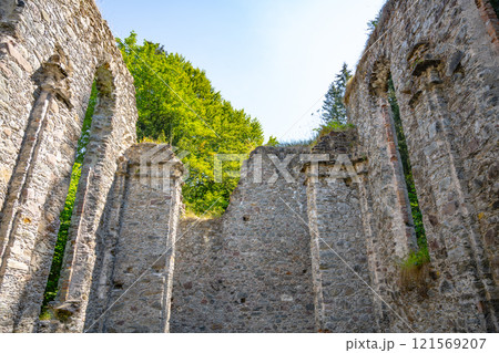 The majestic ruins of Hoerbrunn Church rise amidst a tranquil setting, showcasing weathered stone walls framed by lush greenery, reflecting the passage of time. 121569207