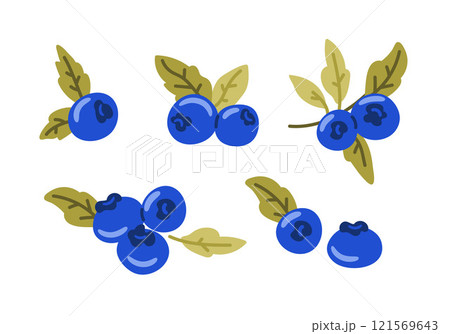 Set of blueberry fruits with green leaves, composition of marsh berry, natural nutrition, vitamin. 121569643