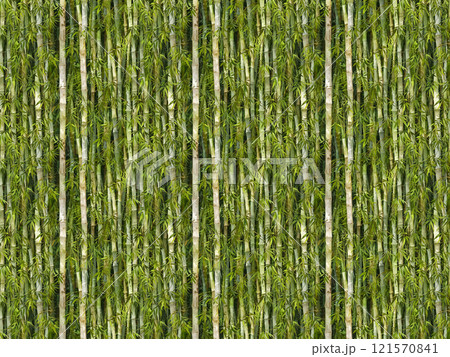 たけやぶの背景「AI生成画像」 121570841