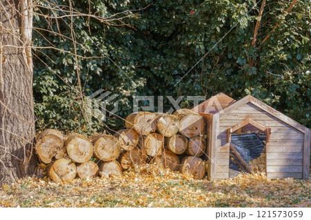 切り出された杉の丸太 121573059