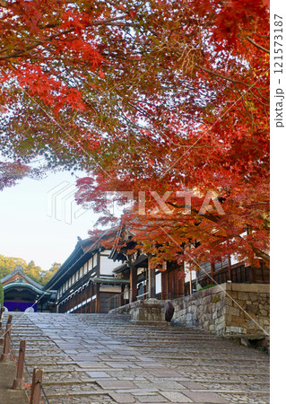 金戒光明寺・清和殿・紅葉(京都・左京区) 金戒光明寺・清和殿・紅葉(京都・左京区) 121573187