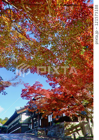 金戒光明寺・清和殿・紅葉（京都・左京区） 121573188