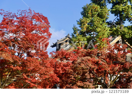 金戒光明寺・清和殿・紅葉（京都・左京区） 121573189