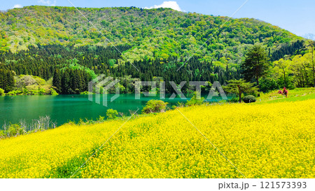 春の北竜湖 春の北竜湖 121573393