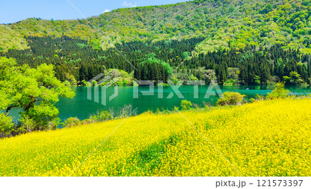 春の北竜湖 121573397