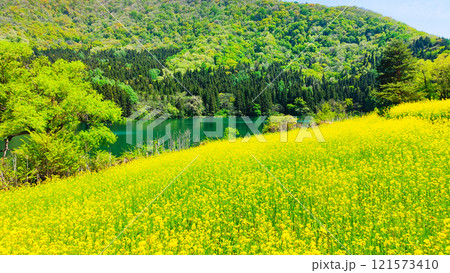 春の北竜湖 春の北竜湖 121573410