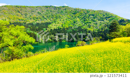 春の北竜湖 121573411