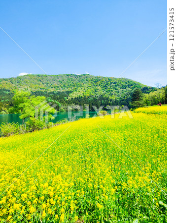 春の北竜湖 121573415