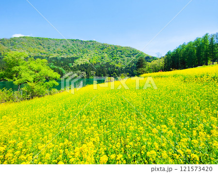 春の北竜湖 121573420