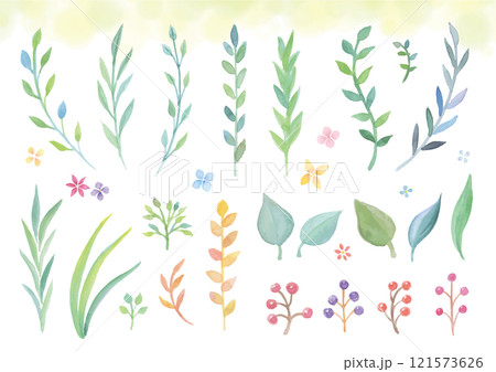 透明感のある水彩手描きの草と葉っぱ類 透明感のある水彩手描きの草と葉っぱ類 121573626
