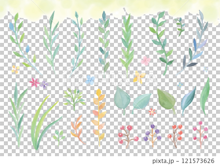 透明水彩手繪草和樹葉 121573626