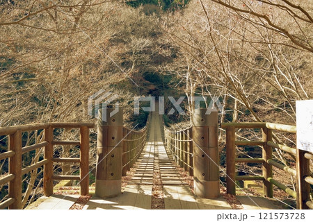 晩秋の汐見滝吊り橋(花貫渓谷) 121573728