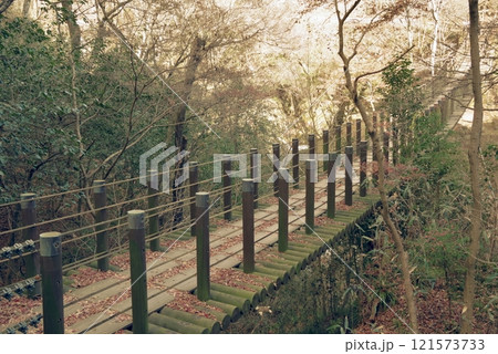 晩秋の汐見滝吊り橋(花貫渓谷) 晩秋の汐見滝吊り橋(花貫渓谷) 121573733