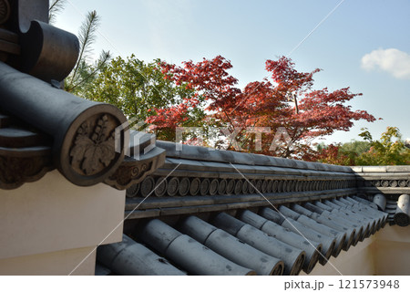 秋の高台寺 霊屋から見るモミジ(京都市東山区) 秋の高台寺 霊屋から見るモミジ(京都市東山区) 121573948