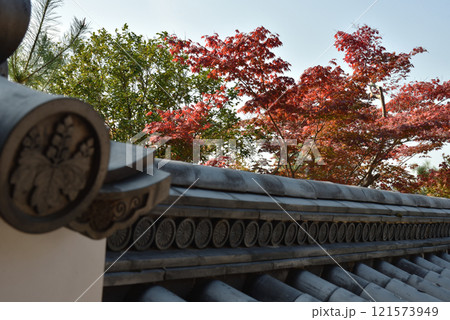 秋の高台寺 霊屋から見るモミジ(京都市東山区) 秋の高台寺 霊屋から見るモミジ(京都市東山区) 121573949