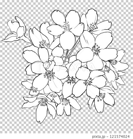 桜のイラスト 121574024