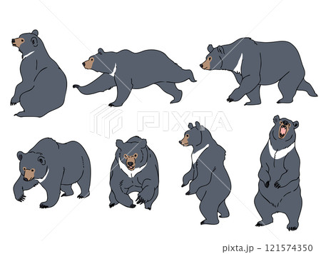 ツキノワグマセット 121574350