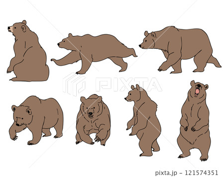 ヒグマセット 121574351