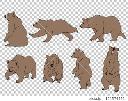 棕熊套裝 121574351