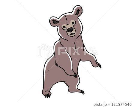 熊の子供 121574540