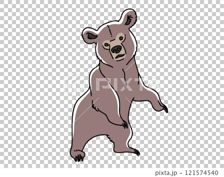 熊の子供 121574540