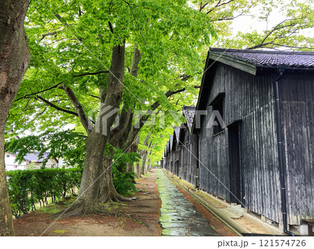 新緑に包まれた山居倉庫 新緑に包まれた山居倉庫 121574726