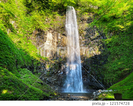 新緑に映える、玉簾の滝 121574728