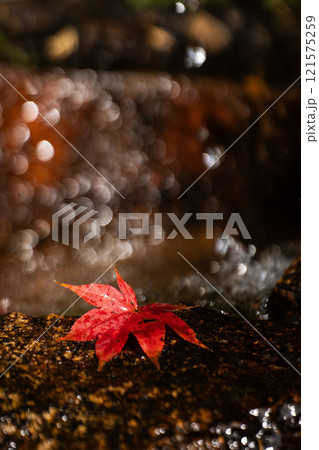 濡れた石の表面と赤いモミジの落ち葉 濡れた石の表面と赤いモミジの落ち葉 121575259
