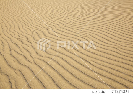 秋の鳥取砂丘とその紋様 鳥取県 鳥取砂丘 121575821