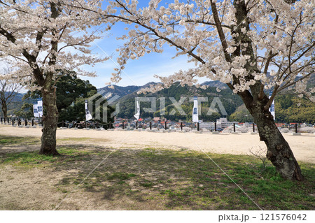 〈島根県〉月山富田城 太鼓壇公園 満開の桜と旗印 4月 〈島根県〉月山富田城 太鼓壇公園 満開の桜と旗印 4月 121576042