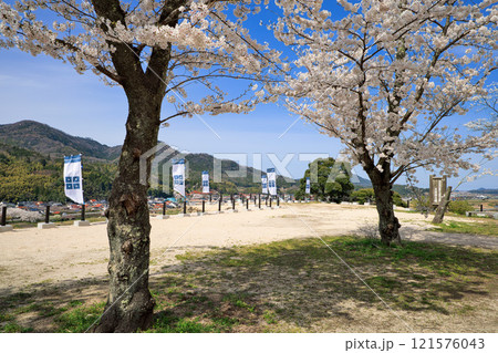 〈島根県〉月山富田城 太鼓壇公園 満開の桜と旗印 4月 〈島根県〉月山富田城 太鼓壇公園 満開の桜と旗印 4月 121576043