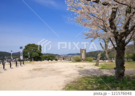 〈島根県〉月山富田城　太鼓壇公園　満開の桜と旗印　4月 121576048