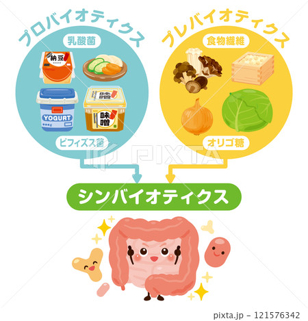 プロバイオティクス、プレバイオティクス、シンバイオティクスと腸のキャラクターイラスト プロバイオティクス、プレバイオティクス、シンバイオティクスと腸のキャラクターイラスト 121576342