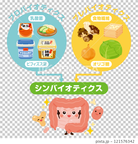 Probiotics, prebiotics and synbiotics with intestine character illustration 121576342