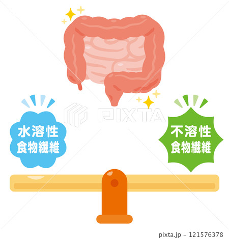 バランスの取れた食物繊維と健康的な腸のイラスト 121576378