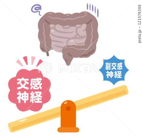 交感神経が優位になって働きが鈍くなる腸のイラスト 交感神経が優位になって働きが鈍くなる腸のイラスト 121576388