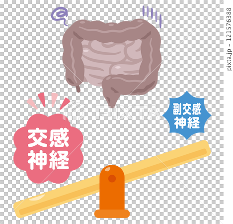 交感神経が優位になって働きが鈍くなる腸のイラスト 交感神経が優位になって働きが鈍くなる腸のイラスト 121576388