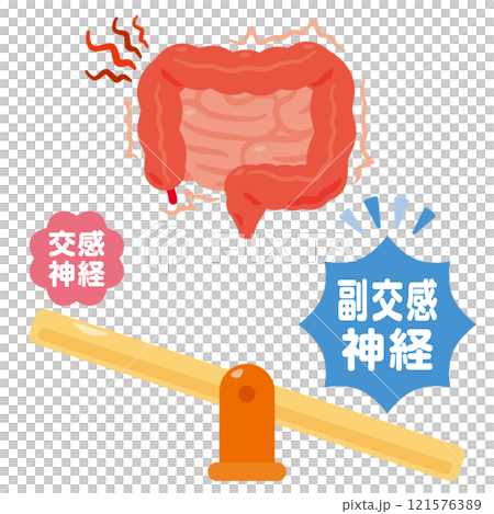副交感神経が優位になって働きが過剰になる腸のイラスト 121576389