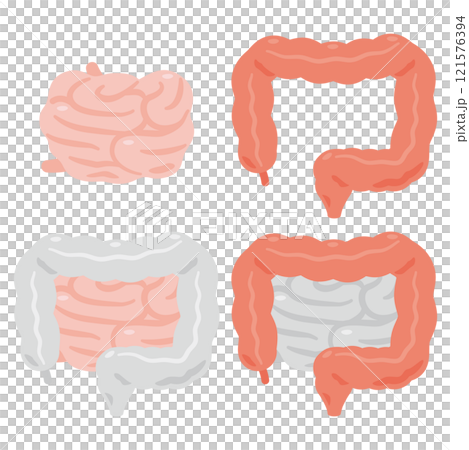 健康美麗的大腸和小腸插圖集 健康美麗的大腸和小腸插圖集 121576394