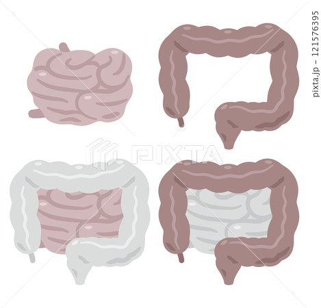 不健康な大腸と小腸のイラストセット 121576395