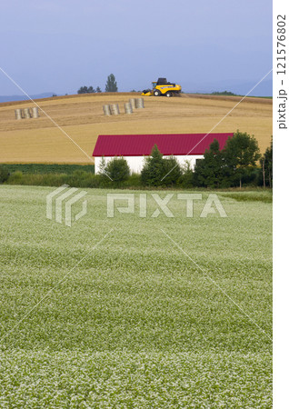 季節を繋ぐ作物たち 121576802