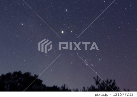 昇る冬の星座 121577212