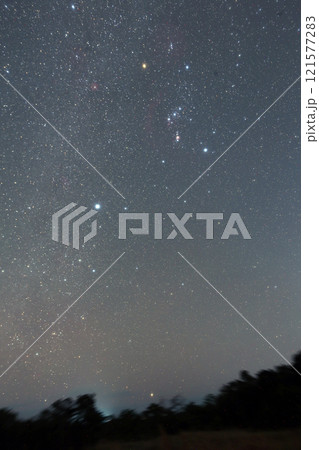 オリオンからカノープス オリオンからカノープス 121577283