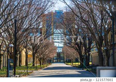 青山学院大学 相模原キャンパス正門 121577601