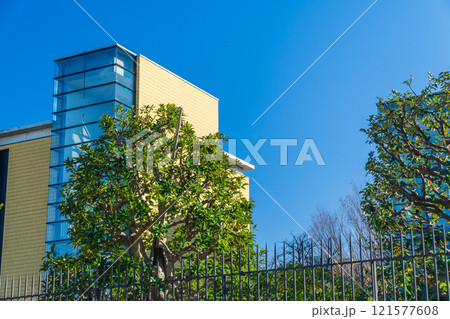 青山学院大学 相模原キャンパス 121577608