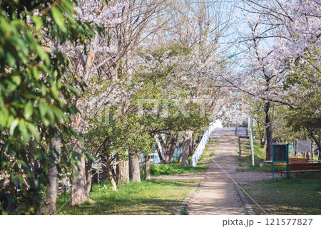 春の新船場西公園と新船場南公園 121577827