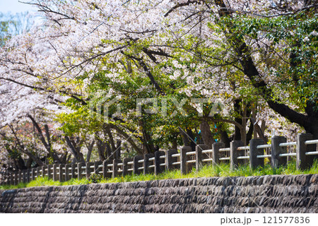 春の新船場西公園と新船場南公園 121577836