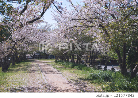 春の新船場西公園と新船場南公園 121577842