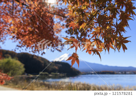 富士山と紅葉 河口湖沿岸から撮影 富士山と紅葉 河口湖沿岸から撮影 121578281